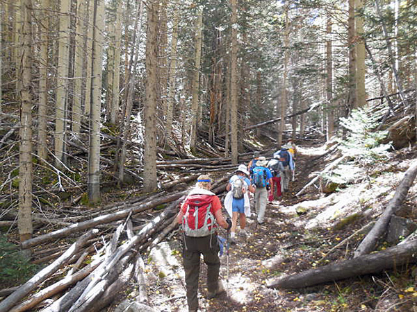 hikers