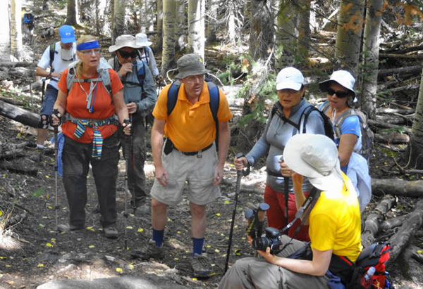 hikers