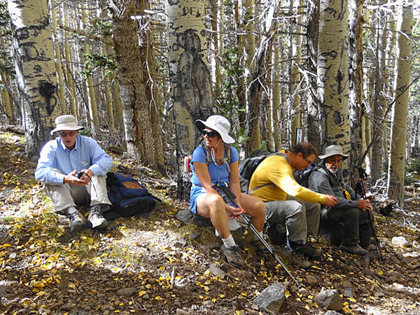 hikers