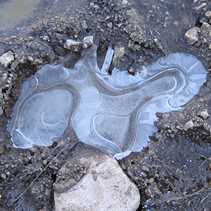ice