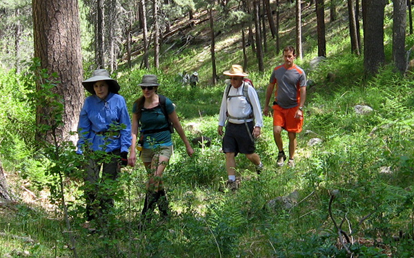 hikers