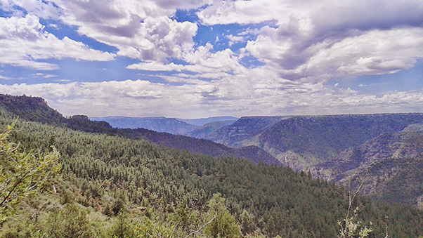CanyonView2_Barbara