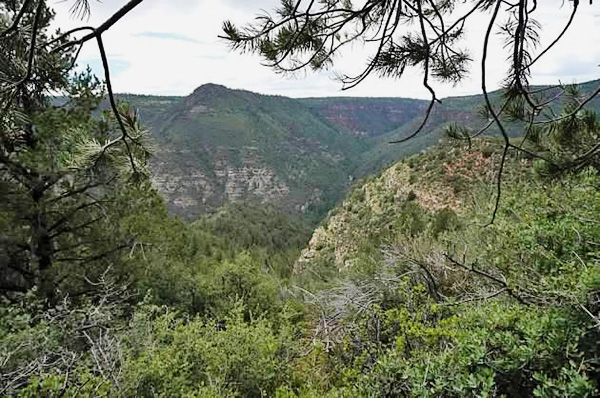 CanyonView2_Wayne
