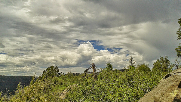 Clouds_Barbara