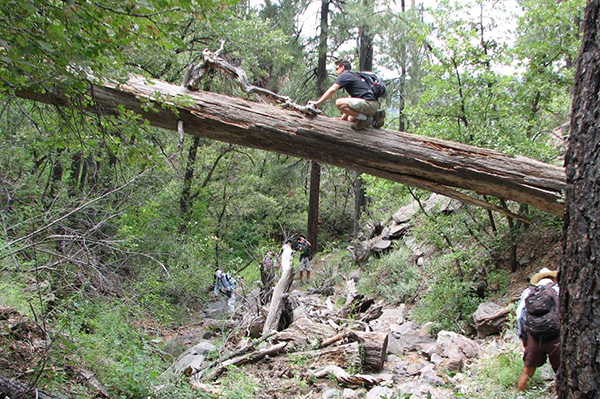 Hikers1_Jim