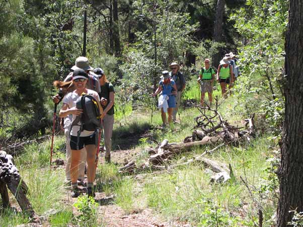 hikers