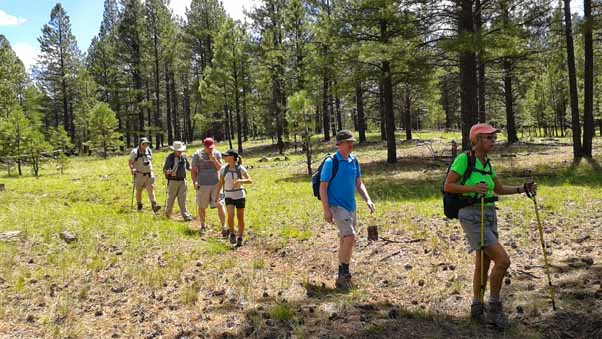 hikers