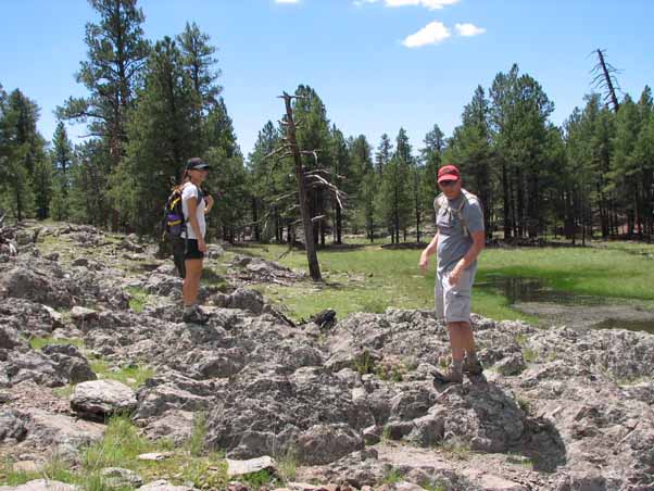 hikers