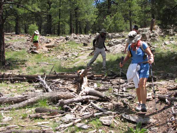 hikers