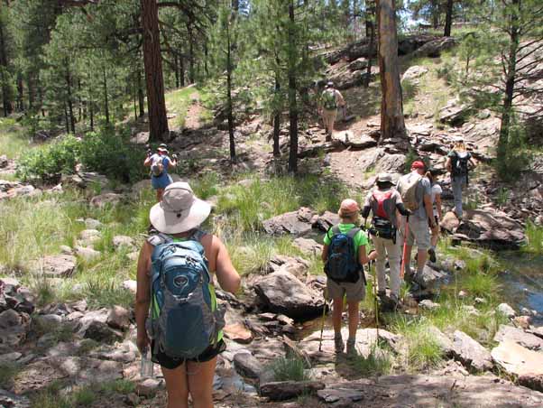 hikers