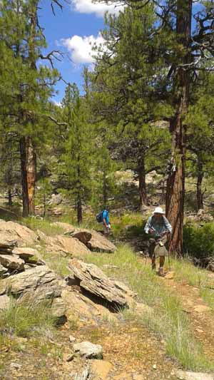 hikers