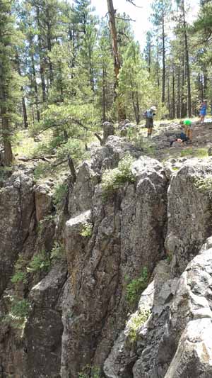 hikers