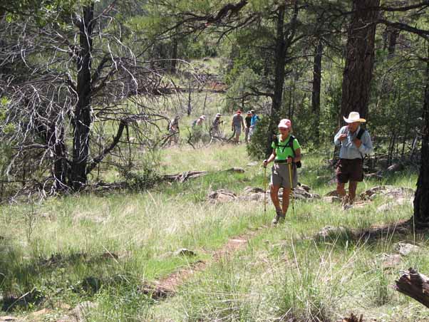 hikers