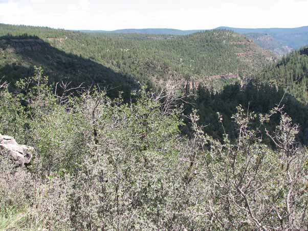 view