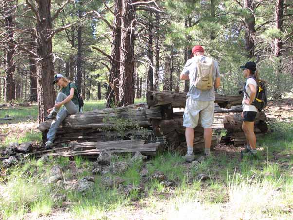 hikers