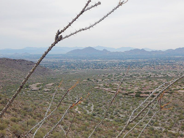 view