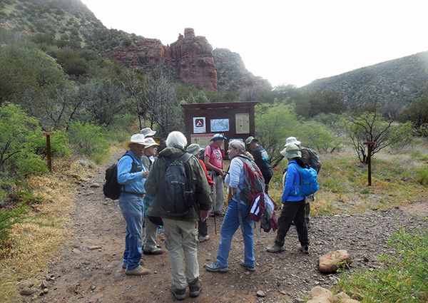 hikers