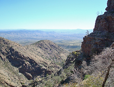 rocks