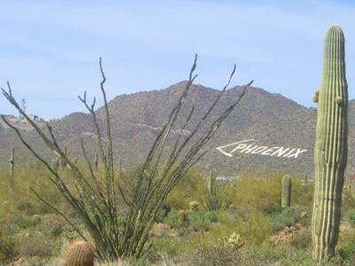 Phoenix sign