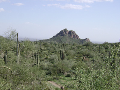 Rock Peak