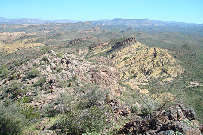 from the top