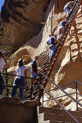ladder