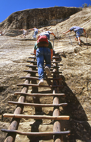 ladder