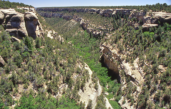 canyon