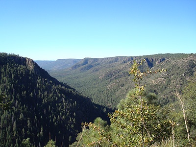 from the top