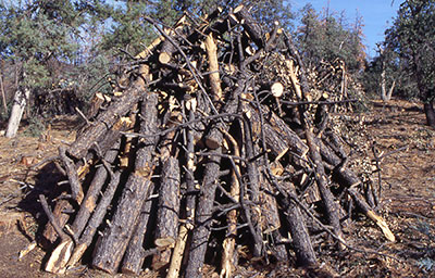 d_cordwood
