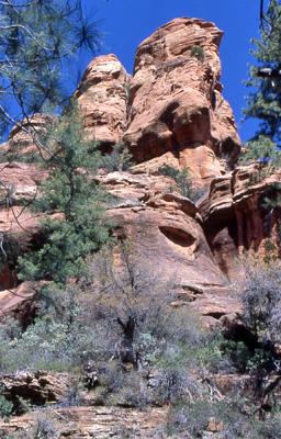 Secret_Cyn4_2002