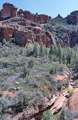 Secret_Cyn5_2002