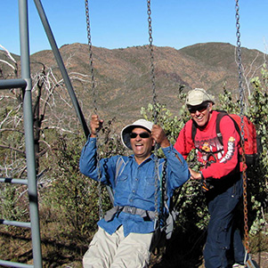 swing