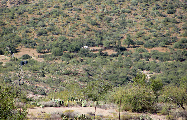 MSC19_JF_Ranch