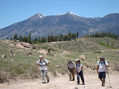 peaks