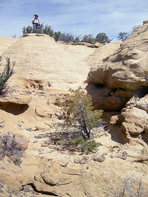 Dennis_SkateboardPark