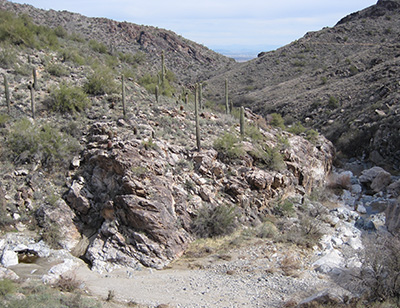 Willow Canyon