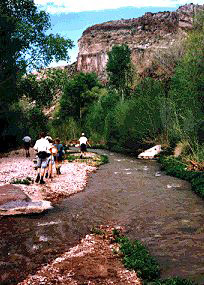canyon