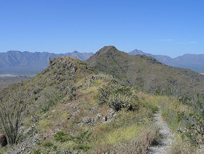 ridge