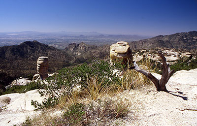 d_Tucson