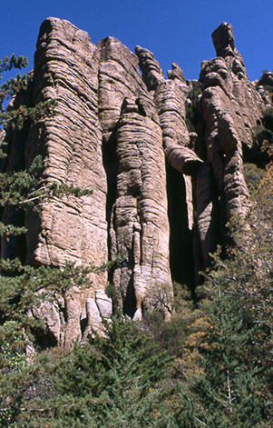 d_columns