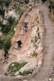 a_S_Kaibab