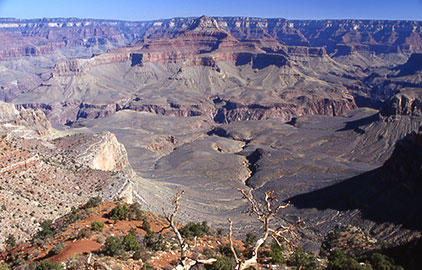 b_TrailView