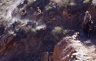 p_Mule_riders