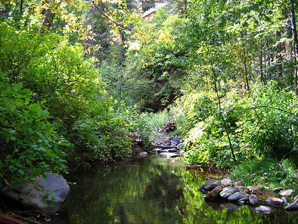 WestFork04d