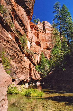 WestFork04e