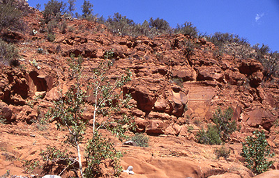 e_RedRock