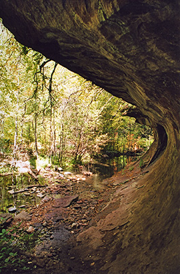 Sedona05g