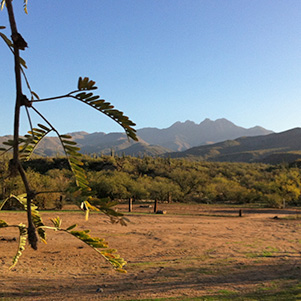 4peaks