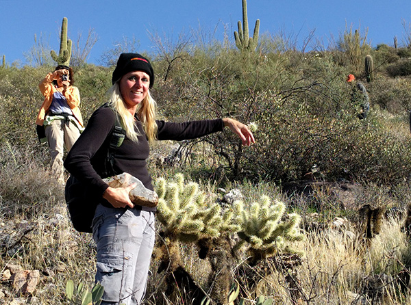 cholla